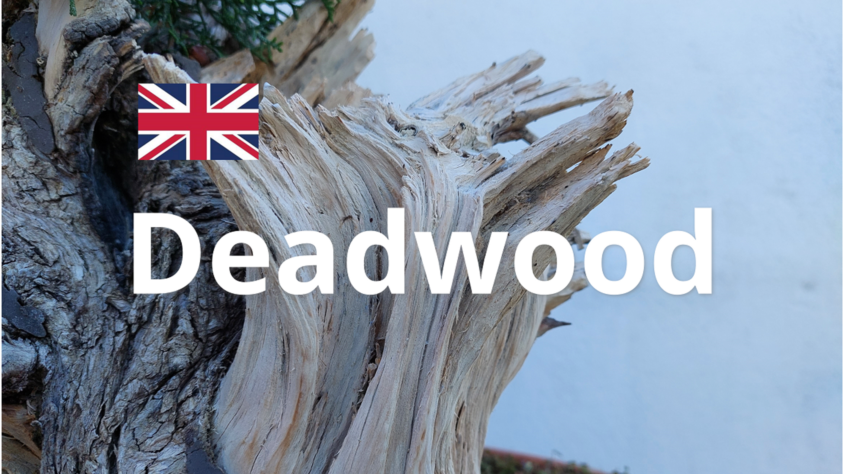 Deadwood - English